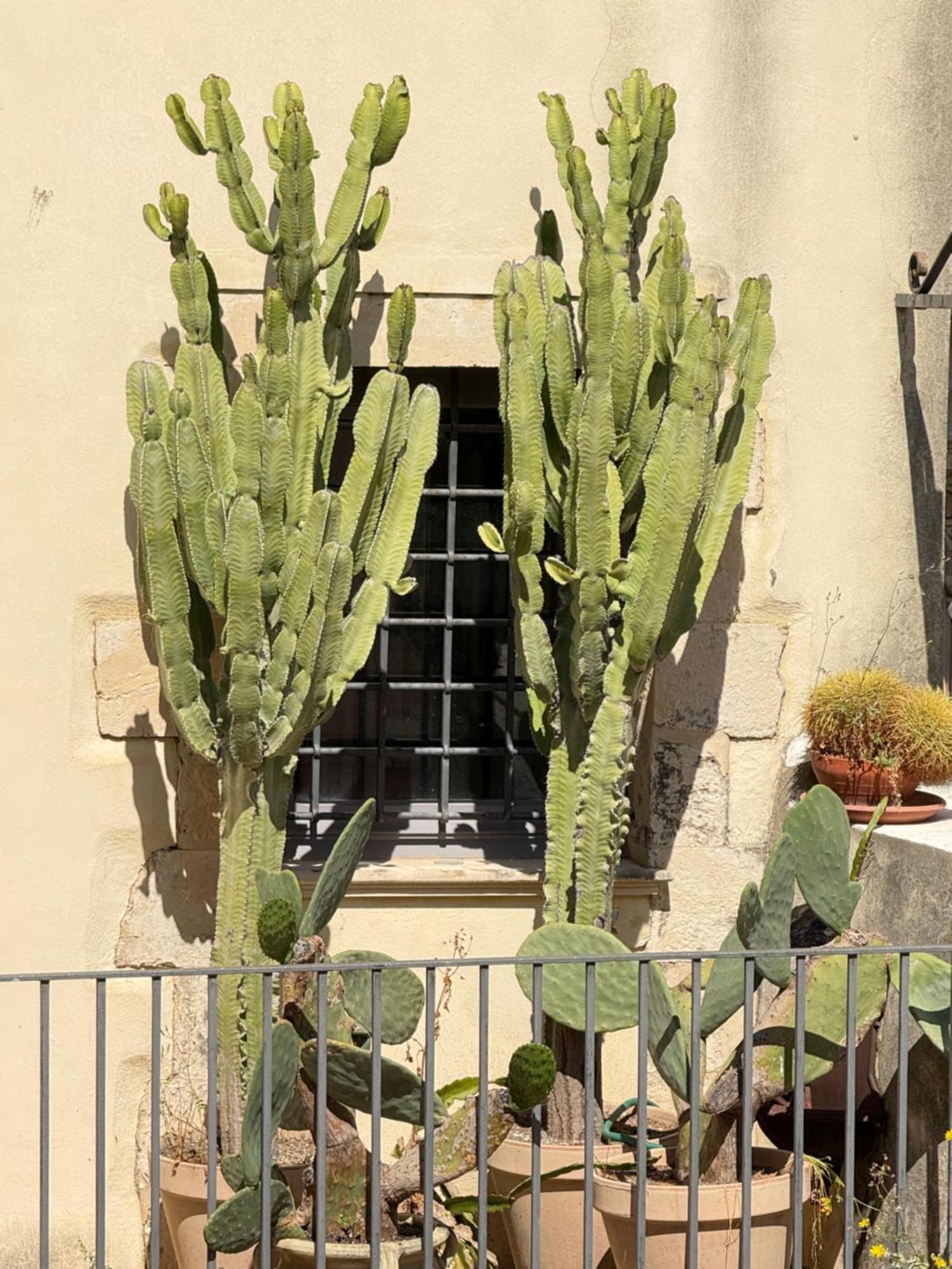 Panorama Suites Noto - Adults Only Exterior foto